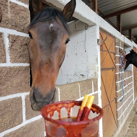 Vive En Un Rancho Hotell Puebla Eksteriør bilde